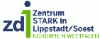 zdi